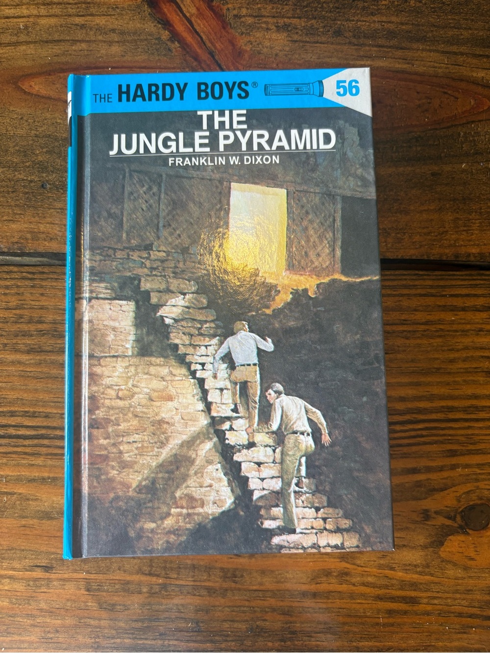 The Hardy Boys: The Jungle Pyramid